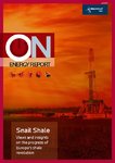 Snail_Shale_raport_czerwiec_2013.pdf