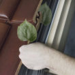 Wiosenne pogotowie okienne – na co zwrócić uwagę podczas pozimowego przeglądu okien dachowych?